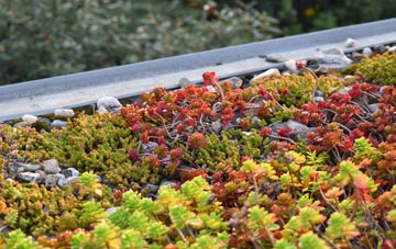 the cost of Lyewood Common green roof installation