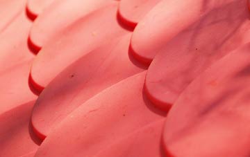 Lyewood Common plastic roof costs